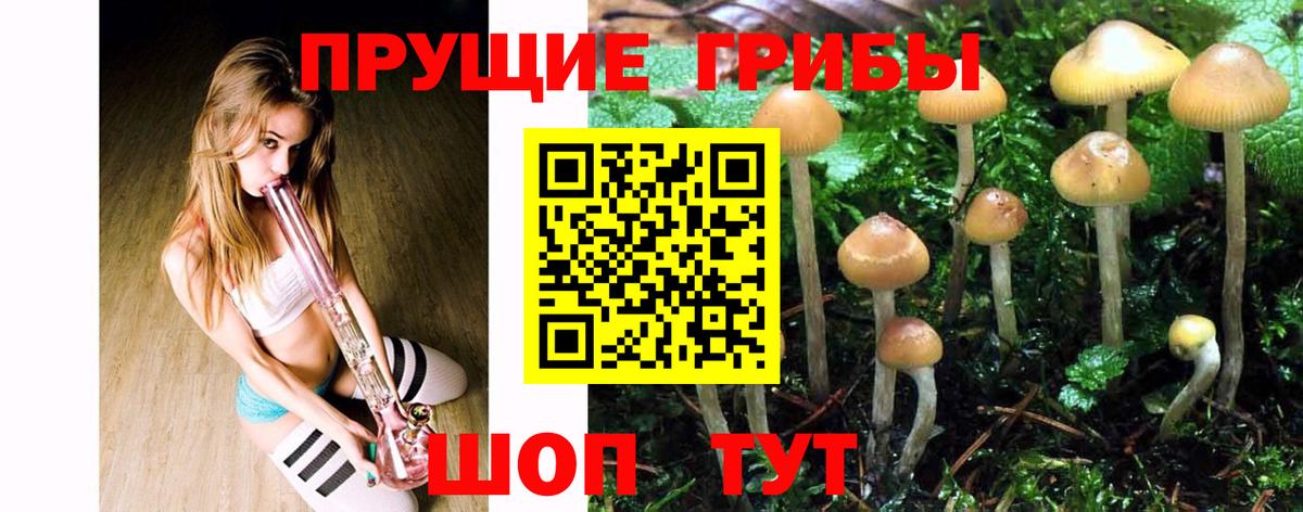 Галлюциногенные грибы Magic Shrooms Железногорск